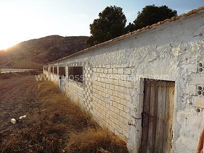 VH1019: Country House / Cortijo for Sale in Huércal-Overa Countryside