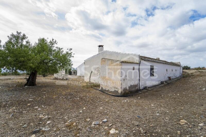 VH1054: Maison de campagne à vendre dans La campagne Huércal-Overa