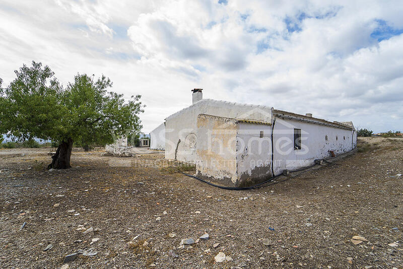 VH1054: Landhaus zu verkaufen im Huércal-Overa Landschaft