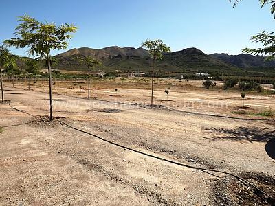 VH1194: Country House / Cortijo for Sale in Huércal-Overa Countryside