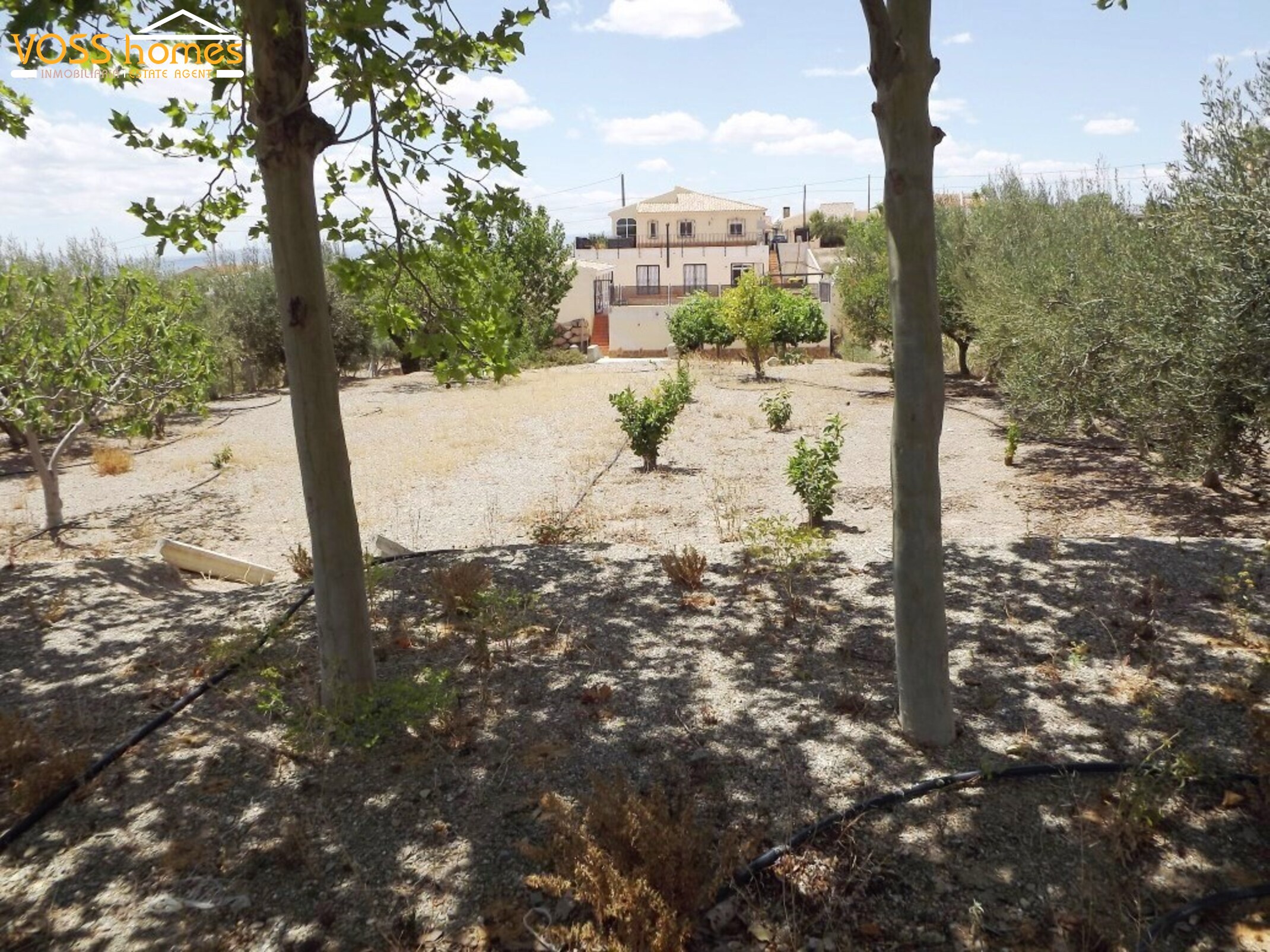 Villa Opportunity in Huércal-Overa, Almería