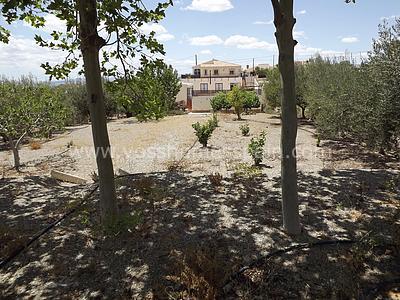 VH1338: Villa for Sale in Huércal-Overa Countryside