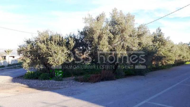 VH1442: Urban Land for Sale in Huércal-Overa Villages