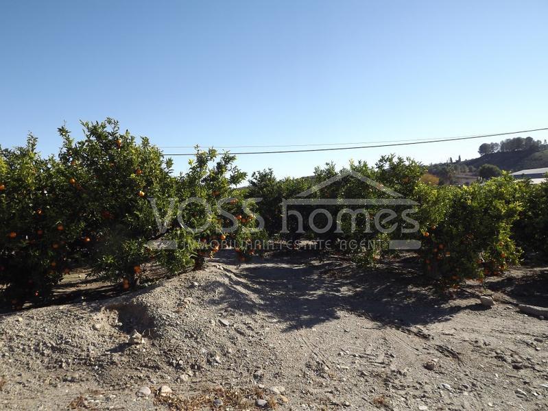 VH1448: Rustic Land for Sale in Huércal-Overa Countryside