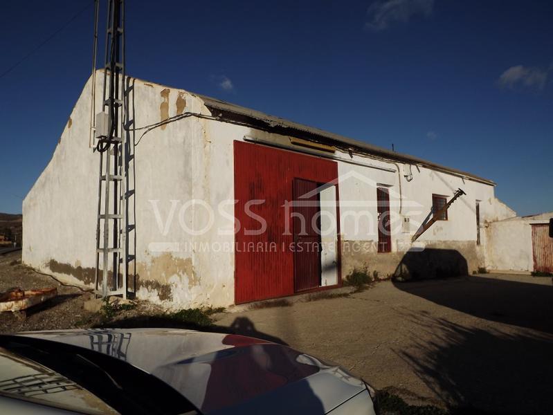 Almazara in the Huércal-Overa Villages