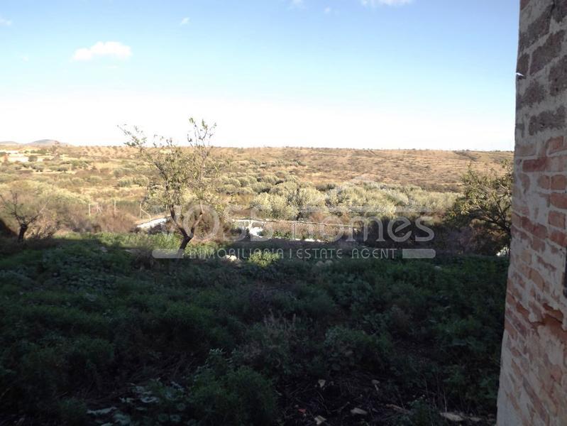 VH1452: Commercial for Sale in Huércal-Overa Villages