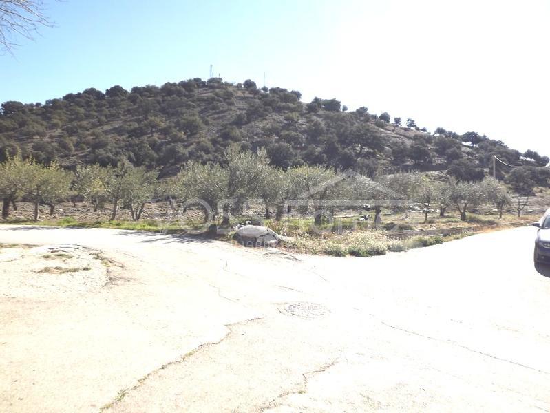 VH1486: Village / Town House for Sale in Huércal-Overa Villages