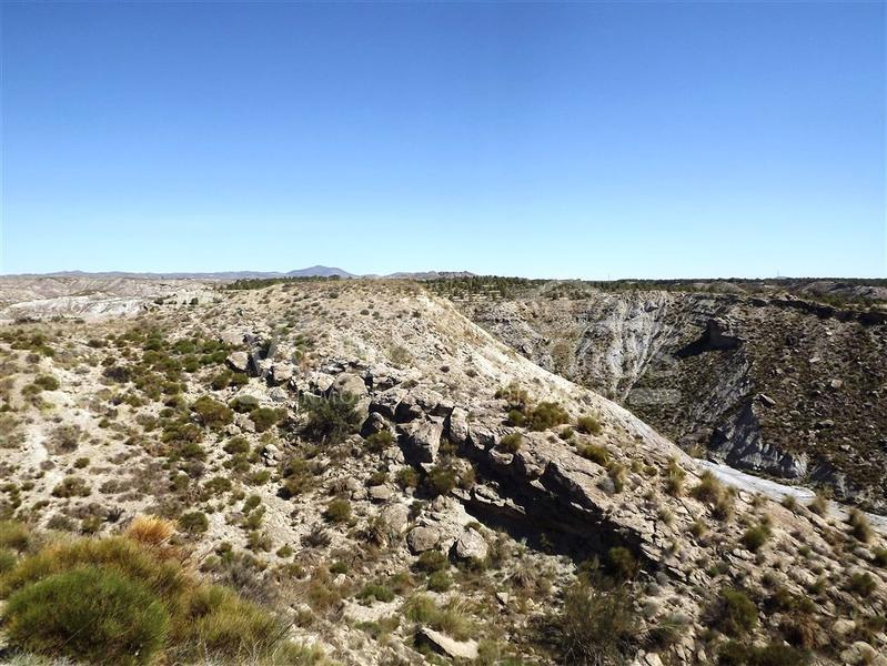 VH1732: Rustic Land for Sale in Huércal-Overa, Almería