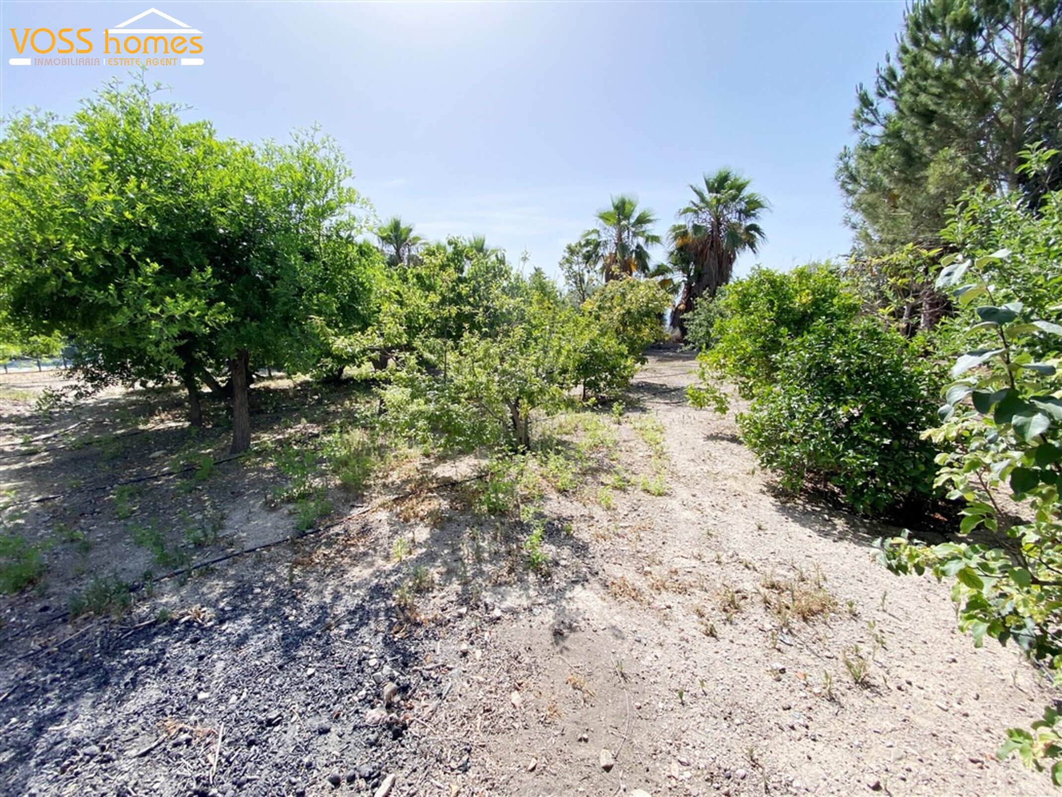 VH1772: Villa for Sale in Huércal-Overa Villages VH1772: Villa for Sale in Huércal-Overa Villages