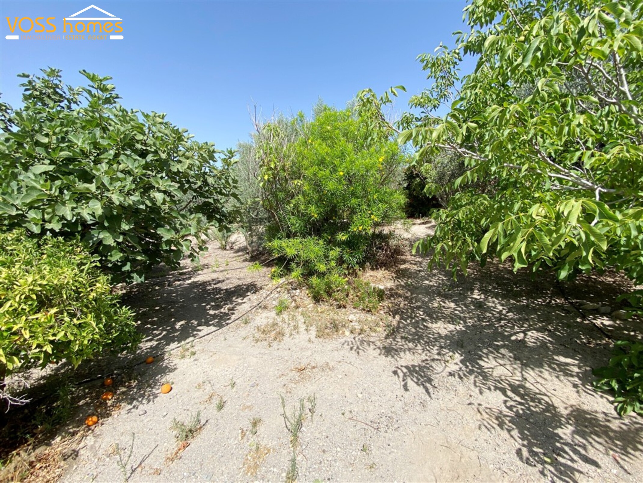 VH1772: Villa for Sale in Huércal-Overa Villages VH1772: Villa for Sale in Huércal-Overa Villages