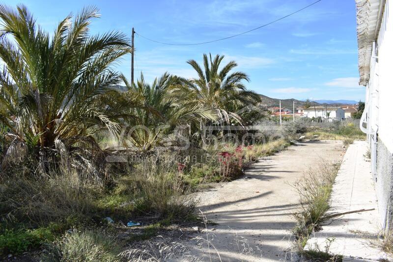 VH1981: Maison de campagne à vendre dans La Alfoquia