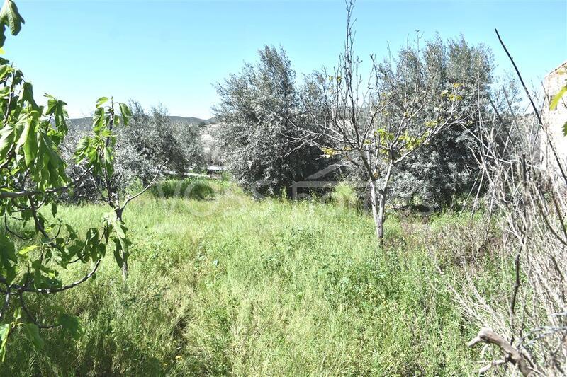 VH1999: Villa en venta en Pueblos Huércal-Overa