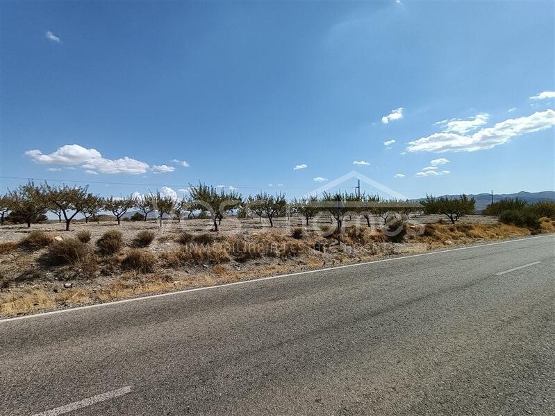VH2080: Parcela Lopez, Rustic Land for Sale in Huércal-Overa, Almería