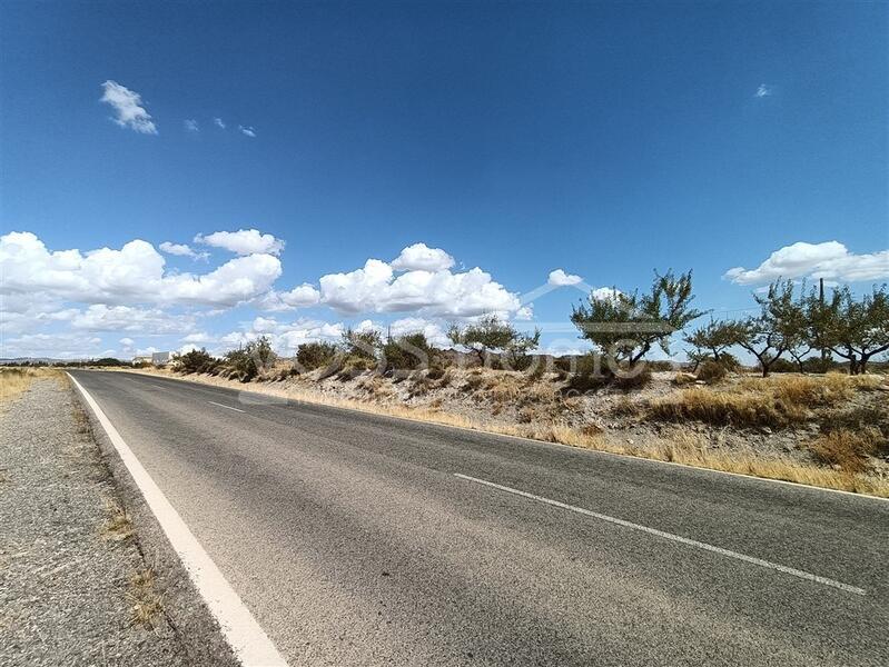 Parcela Lopez in the Huércal-Overa Countryside