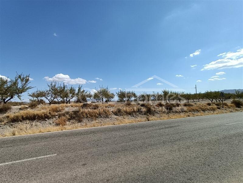 VH2080: Parcela Lopez, Rustic Land for Sale in Huércal-Overa, Almería