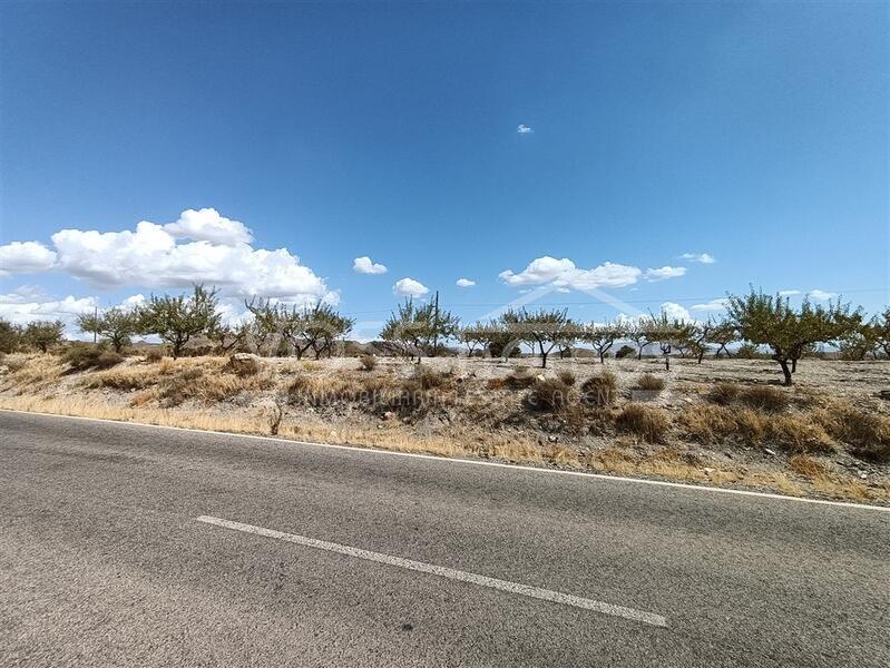 VH2080: Parcela Lopez, Rustic Land for Sale in Huércal-Overa, Almería