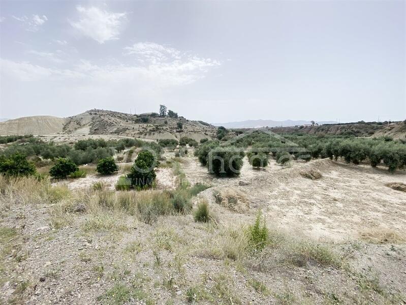VH2101: Country House / Cortijo for Sale in Huércal-Overa Countryside