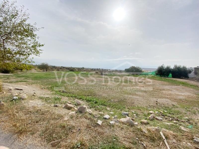 VH2111: Cortijo Castellon , Casa de Campo en venta en Huércal-Overa, Almería