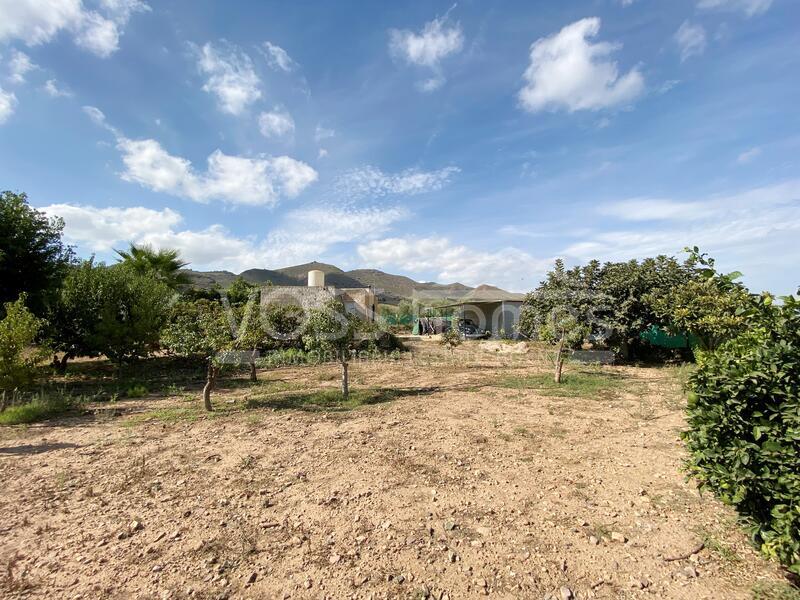 VH2238: Terre Rustique à vendre dans Huércal-Overa, Almería