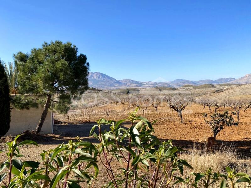 VH2302: Cortijo Los Titos, Country House / Cortijo for Sale in Velez-Rubio, Almería