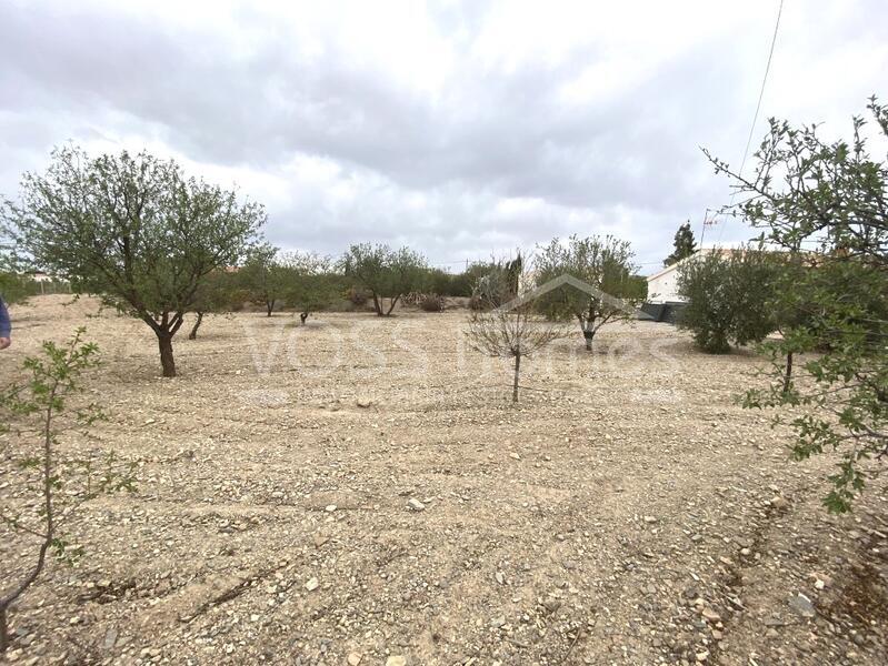 VH2364: Stedelijk land te koop in Het platteland van Huércal-Overa