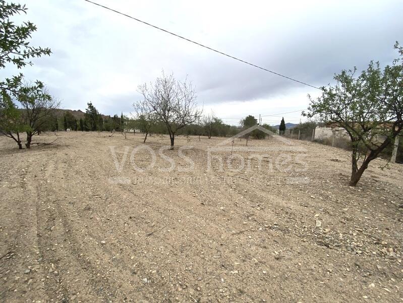 VH2364: Stedelijk land te koop in Het platteland van Huércal-Overa