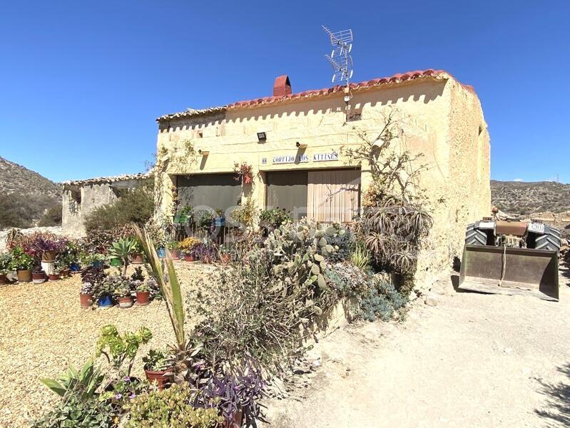 Casa Roxy im das Huércal-Overa Landschaft