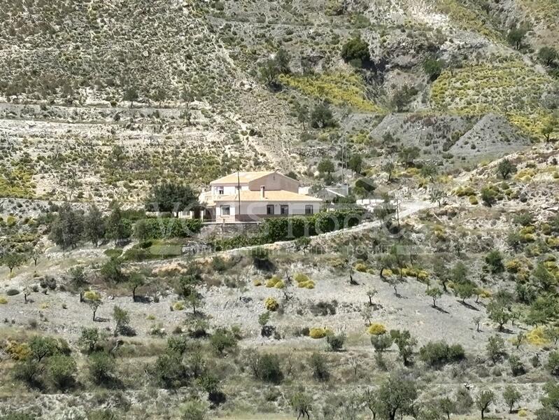 VH2569: Country House / Cortijo for Sale in Taberno Area