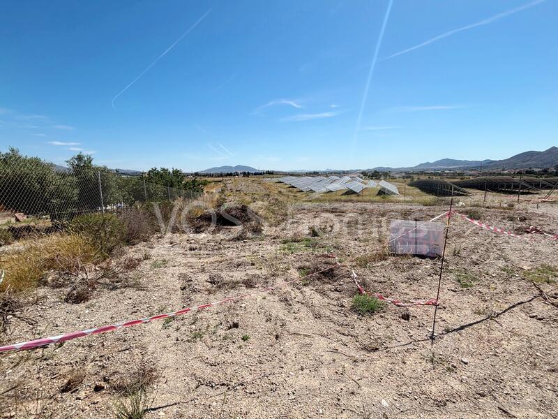 VH2572: Tierra Rústica en venta en Campo Huércal-Overa VH2572: Tierra Rústica en venta en Campo Huércal-Overa