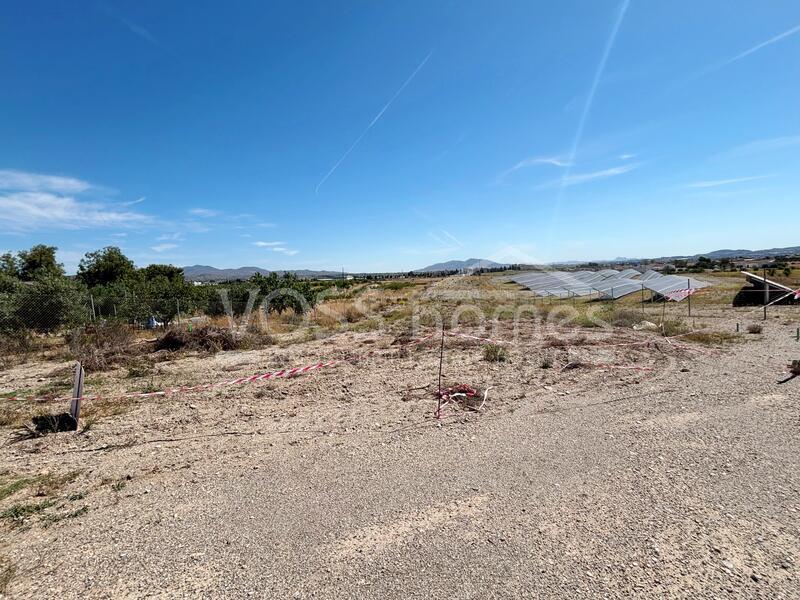 VH2572: Tierra Rústica en venta en Campo Huércal-Overa VH2572: Tierra Rústica en venta en Campo Huércal-Overa