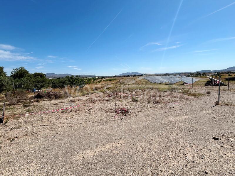 VH2572: Tierra Rústica en venta en Campo Huércal-Overa VH2572: Tierra Rústica en venta en Campo Huércal-Overa