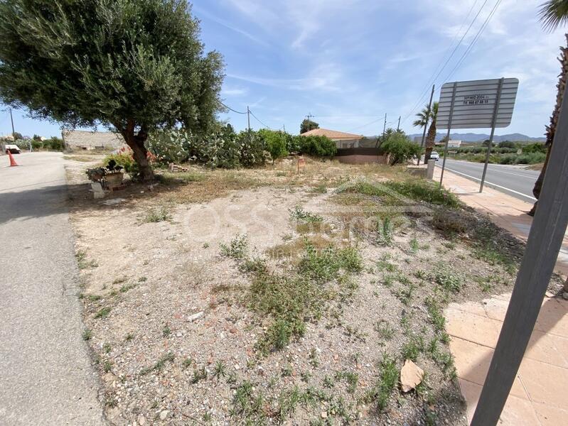 VH2574: Casa de pueblo en venta en Zona de La Alfoquia