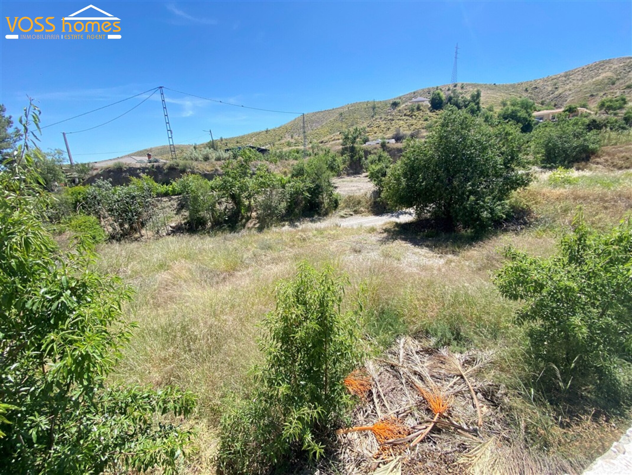 VH2614: Villa for Sale in Huércal-Overa Countryside
