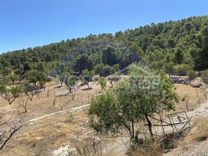 VH2621: Country House / Cortijo for Sale in Velez Rubio Area