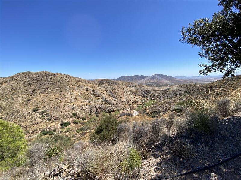 VH2627: Villa for Sale in Huércal-Overa Countryside