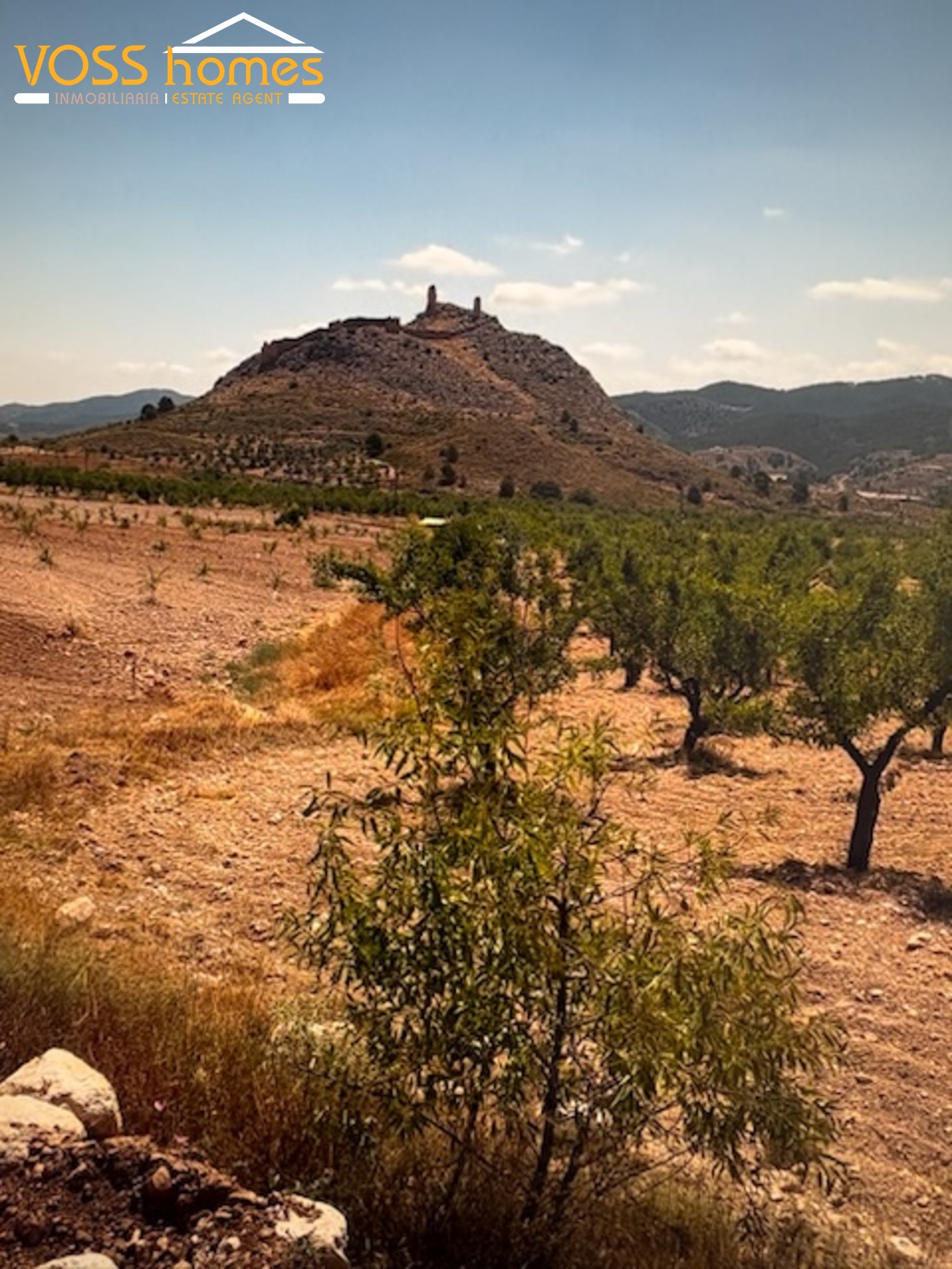 VH2644: Villa for Sale in Velez-Rubio, Almería