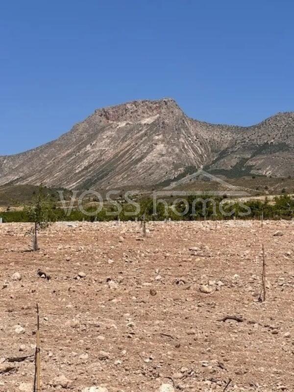 VH2644: Villa for Sale in Velez-Rubio, Almería