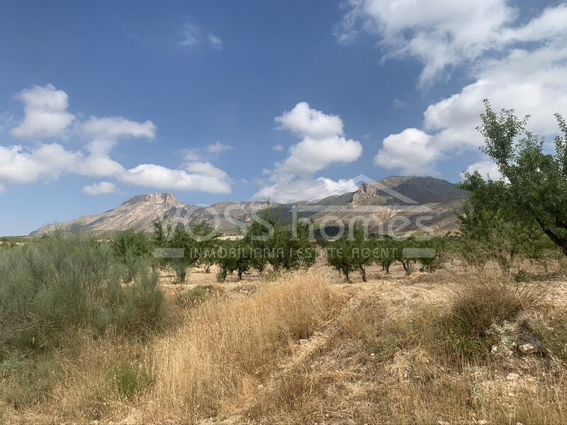 VH2644: Villa for Sale in Velez-Rubio, Almería