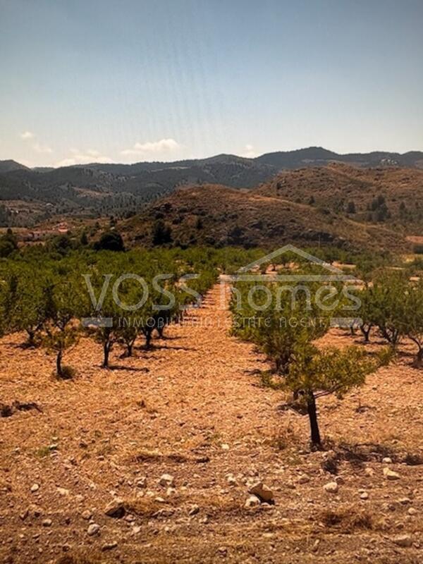 VH2644: Villa for Sale in Velez-Rubio, Almería