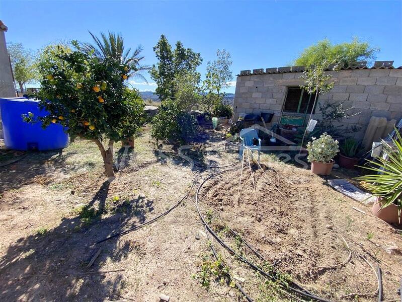 VH2663: Country House / Cortijo for Sale in La Alfoquia Area