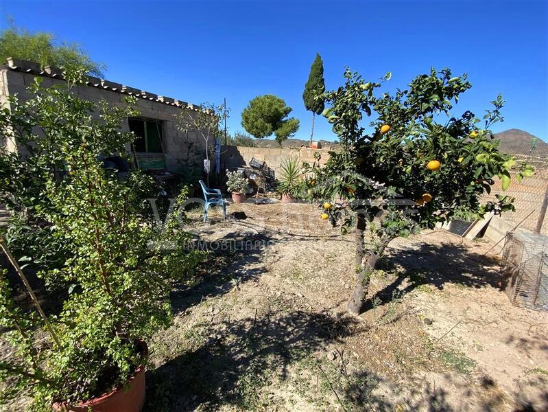 VH2663: Country House / Cortijo for Sale in La Alfoquia Area