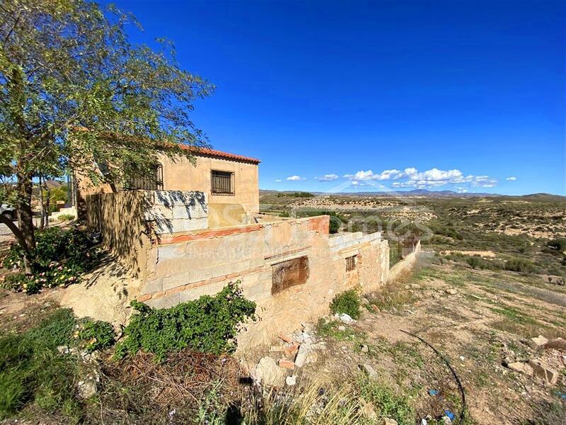 VH2663: Country House / Cortijo for Sale in La Alfoquia Area