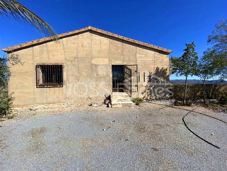VH2663: Country House / Cortijo for Sale in La Alfoquia Area