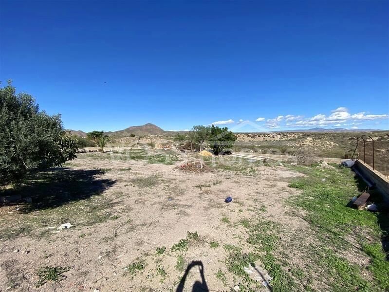 VH2663: Country House / Cortijo for Sale in La Alfoquia Area