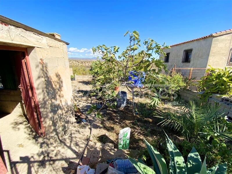 VH2663: Country House / Cortijo for Sale in La Alfoquia Area