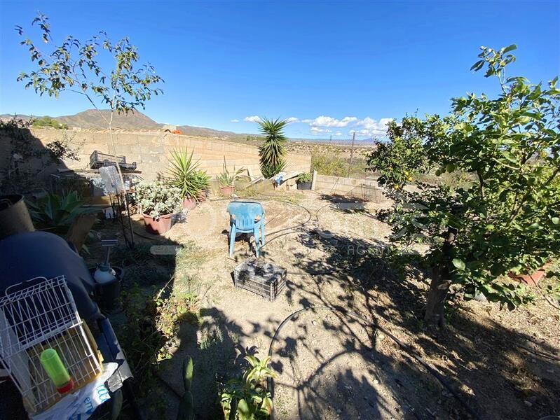 VH2663: Country House / Cortijo for Sale in La Alfoquia Area