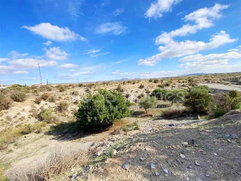 VH2666: Village / Town House for Sale in Huércal-Overa Villages