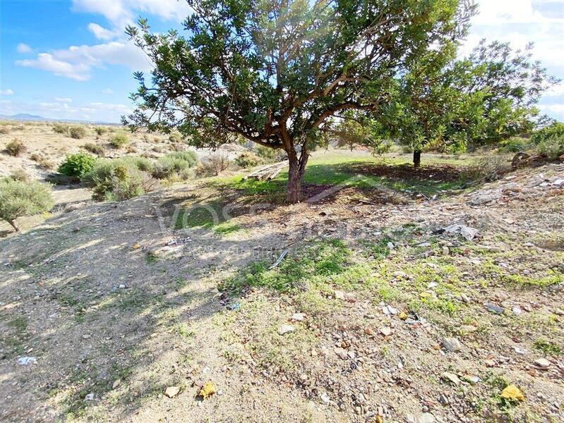 VH2666: Village / Town House for Sale in Huércal-Overa Villages