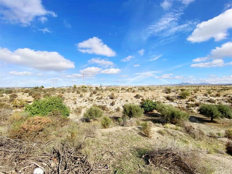 VH2666: Village / Town House for Sale in Huércal-Overa Villages