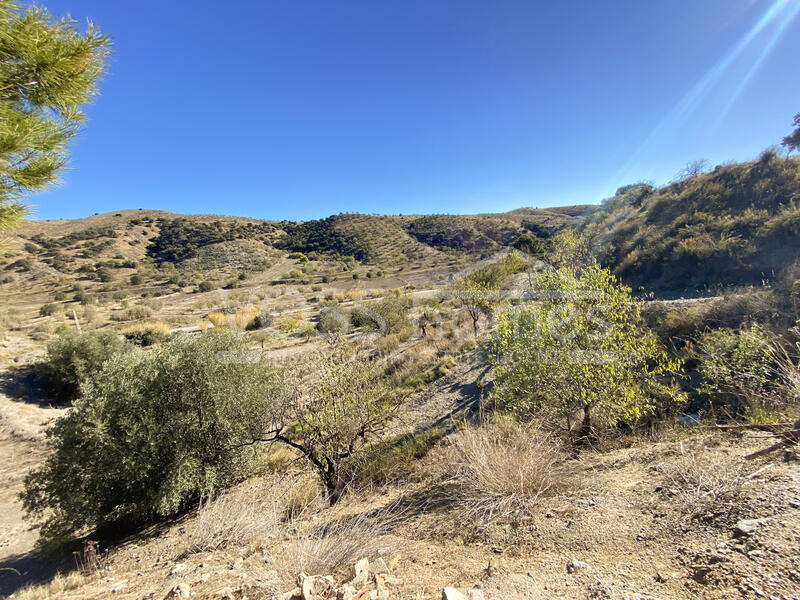 VH2671: Rustic Land for Sale in Huércal-Overa Countryside